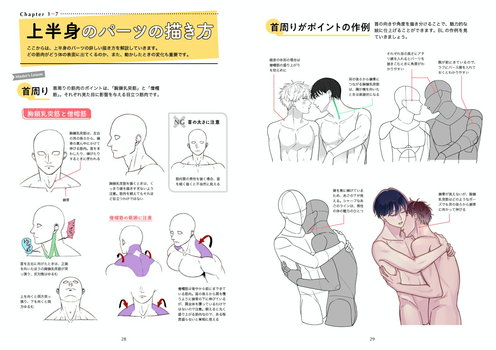 楽天ブックス Blデッサン基本とテクニック 筋肉の描き方 関崎 淳 本 楽天ブックス Blデッサン基本とテクニック 筋肉の描き方 関崎 淳 本